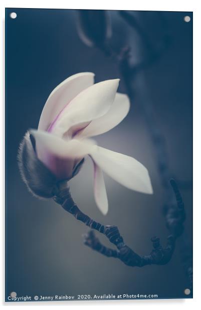 Zen Magnolia New Blooms Boho Style Acrylic by Jenny Rainbow