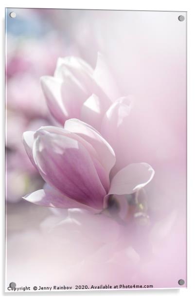 Dreamy  Blooms of Chinese Magnolia Acrylic by Jenny Rainbow