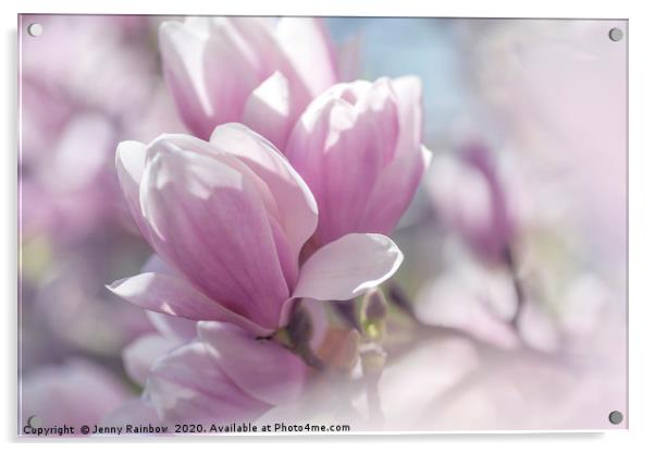 Dreamy Blooms of Chinese Magnolia 1 Acrylic by Jenny Rainbow