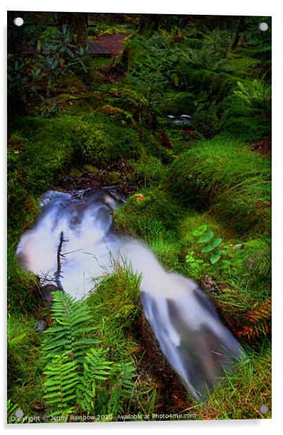 Forest Stream in Benmore Botanic Garden Acrylic by Jenny Rainbow