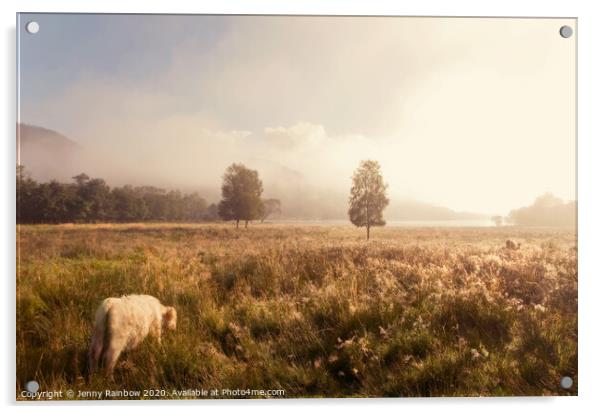 Dreamy Fields. The Trossachs, Scotland Acrylic by Jenny Rainbow