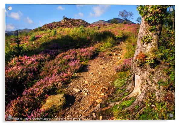 Way Up. Trossachs National Park Acrylic by Jenny Rainbow