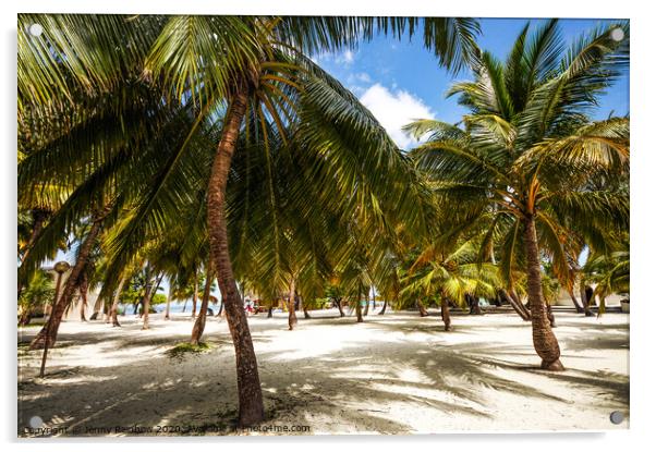 Palms. Palms. Palms. Maldivian Island Acrylic by Jenny Rainbow