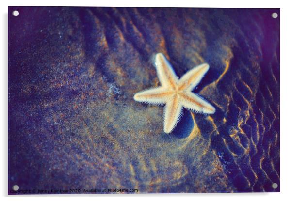 Sea Star. Memory of the Sunny Days in Tropics Acrylic by Jenny Rainbow