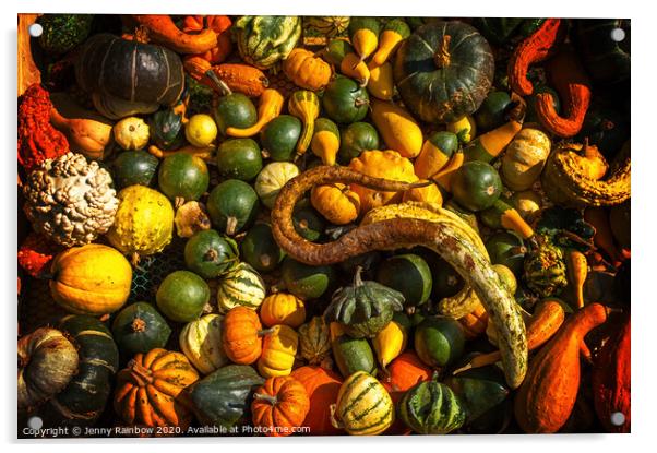 Abundant Harvest of Gourds Display Acrylic by Jenny Rainbow