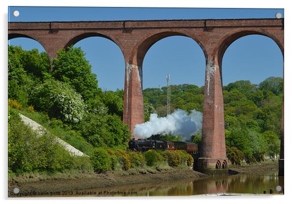 Steam Train Whitby viaduct Acrylic by colin potts