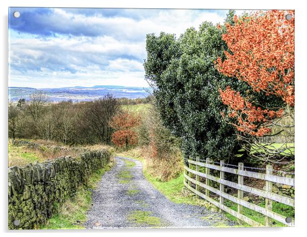 A country lane in autumn Acrylic by Mike Dickinson