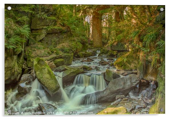 Fairies Table, Healey Dell Nature reserve Acrylic by Mike Dickinson