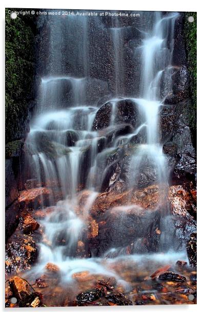 Kennel Vale Falls Acrylic by chris wood