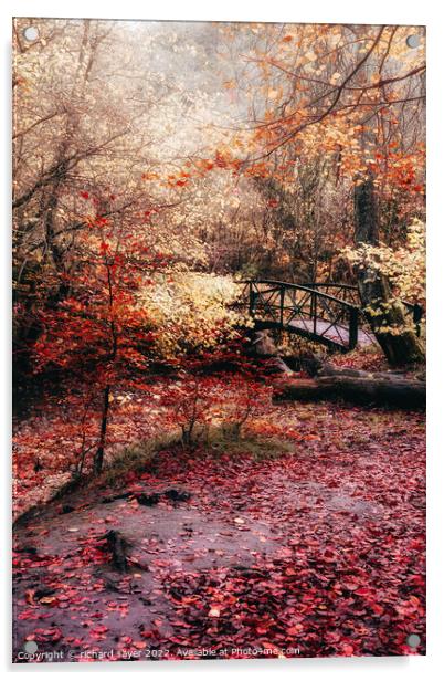 Enchanting Autumn Bridge Acrylic by richard sayer