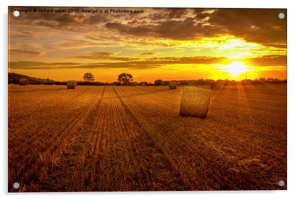  Golden Harvest Acrylic by richard sayer