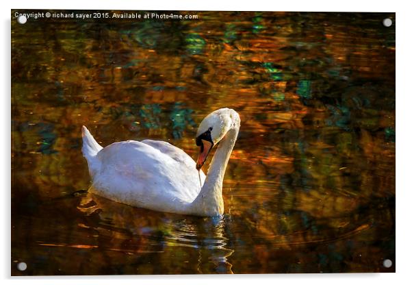  Golden Swans Lake Acrylic by richard sayer