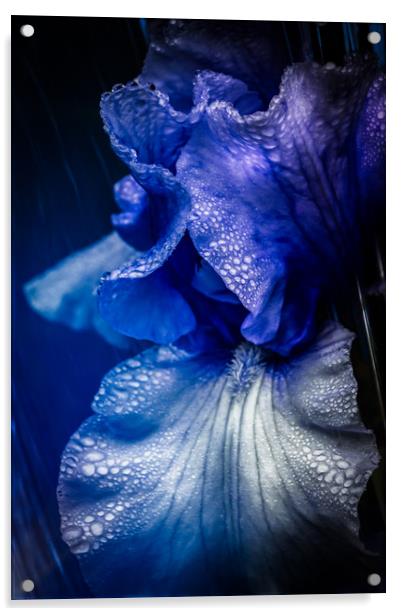 Electric Blue Acrylic by richard sayer