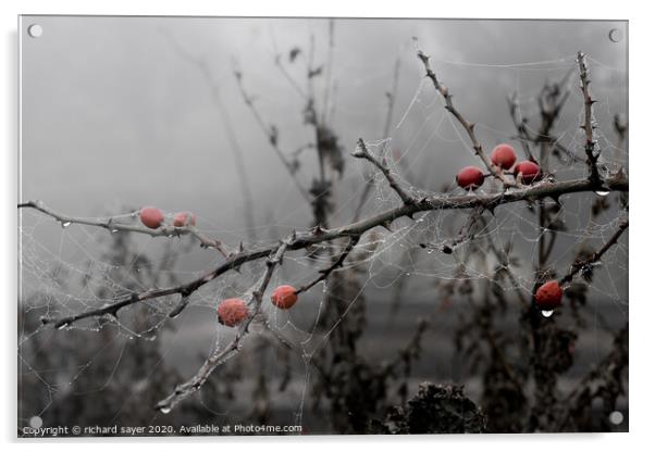 Natures Halloween Decorations Acrylic by richard sayer