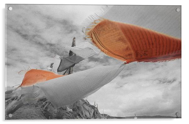 Prayerflags in the wind Acrylic by ira de reuver