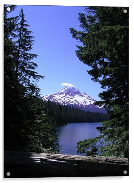 Mount Hood, Lost Lake, Oregon Acrylic by Jay Huckins