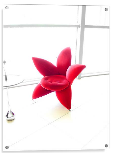 Red Starfish Chair Acrylic by Jay Huckins