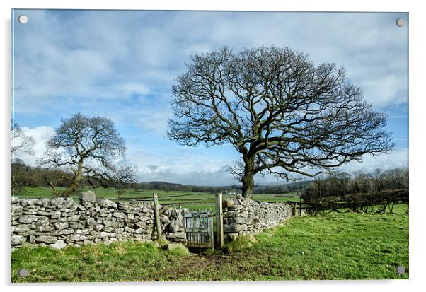 Lancashire Countryside - Silverdale Acrylic by Gary Kenyon