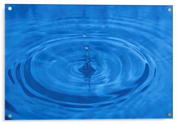 Water Drip Acrylic by Gary Kenyon