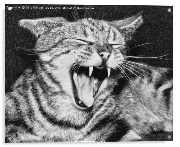 Sinbad The Cat Acrylic by Gary Kenyon