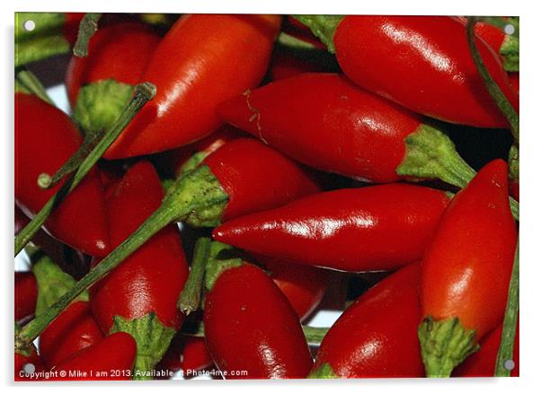 Red Chilli Acrylic by Thanet Photos