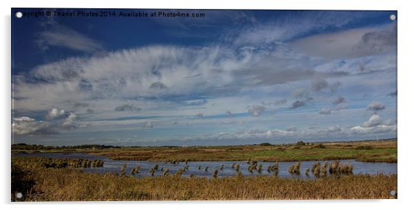  Oare marshes  Acrylic by Thanet Photos