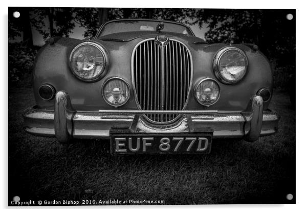 Jaguar Acrylic by Gordon Bishop