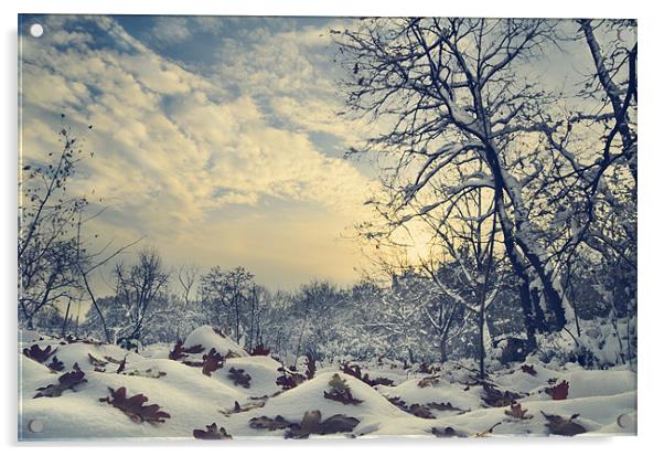 Winter Landscape Acrylic by Jelena Jovanovic