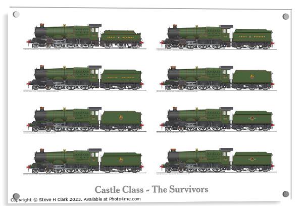 Castle Class - The Survivors Acrylic by Steve H Clark