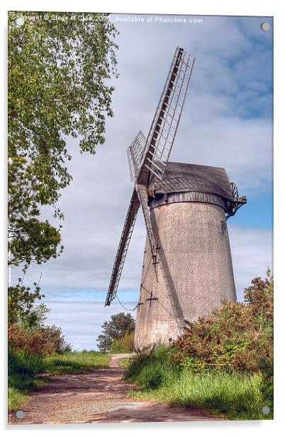  Bidston Windmill Acrylic by Steve H Clark
