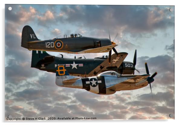 Sea Fury - Skyraider - Mustang Acrylic by Steve H Clark