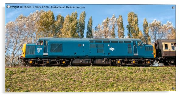 British Railways Class 37 Number 37215 Acrylic by Steve H Clark