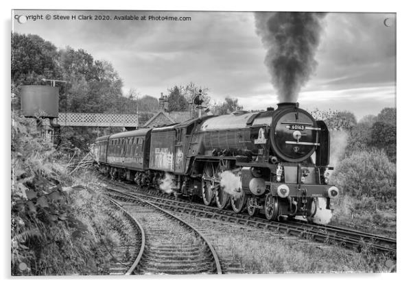 60163 Tornado - Black and White Acrylic by Steve H Clark