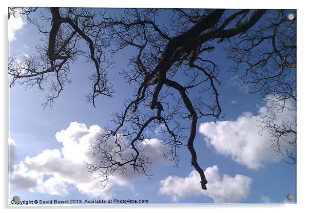 Tree branches sky. Acrylic by David Basset