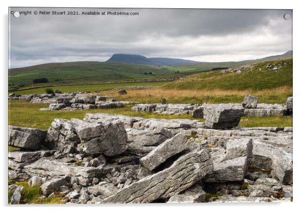 Pen-y-ghent from Winskill Stones above Langcliffe Acrylic by Peter Stuart