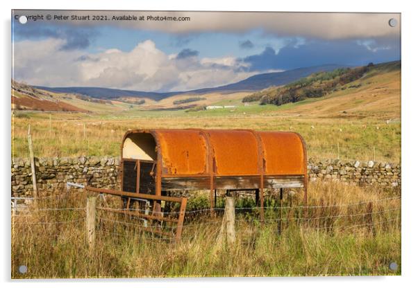 rotting trailer in kingsdale Acrylic by Peter Stuart