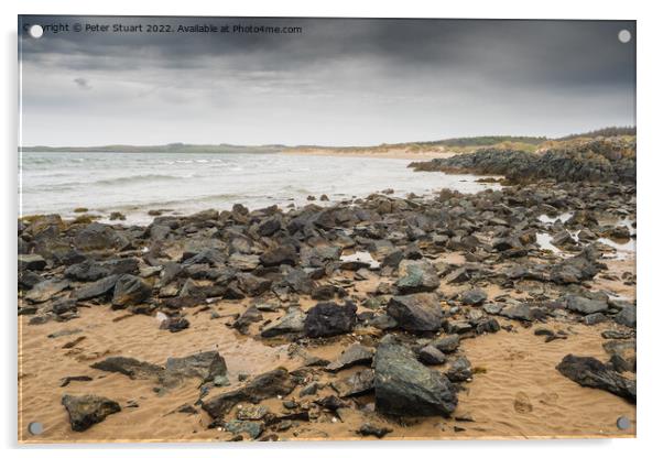 Newborough Warren and Ynys Llanddwyn was declared the first coastal National Nature Reserve in Wales in 1955. The Corsican pine trees that make up Newborough Forest were planted between 1947 and 1965 Acrylic by Peter Stuart