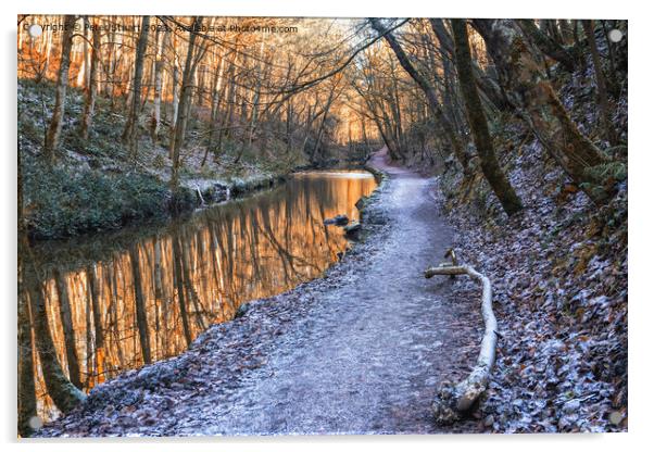 Skipton Woods Walk Acrylic by Peter Stuart