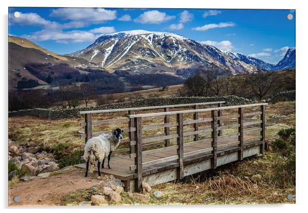  Please Can I Cross? Acrylic by Peter Stuart