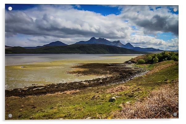  Ben Loyal Acrylic by Peter Stuart