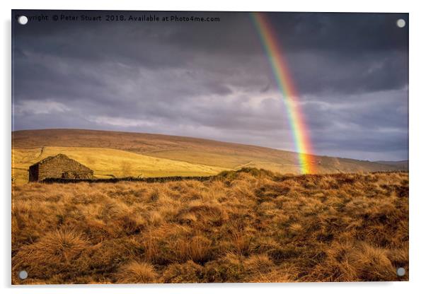 Dales Rainbow Acrylic by Peter Stuart