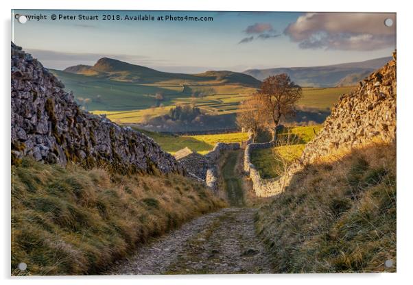 Yorkshire Dales Lanes Acrylic by Peter Stuart