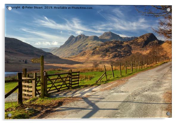 Peter CThe Langdale Pikesonnolly Acrylic by Peter Stuart