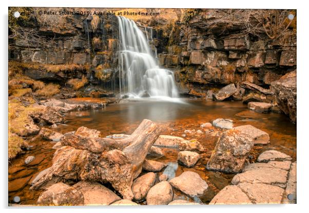 East Gill Force, Swaledale Acrylic by Peter Stuart