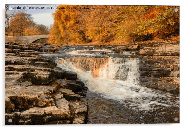 Stainforth Force, Yorkshire Dales Acrylic by Peter Stuart