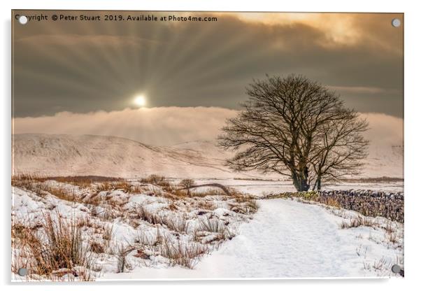 Snowtime at Ribblehead  Acrylic by Peter Stuart