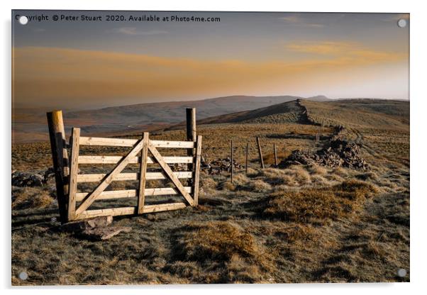 Shinning Gate near to Fountains Fell on the Pennin Acrylic by Peter Stuart