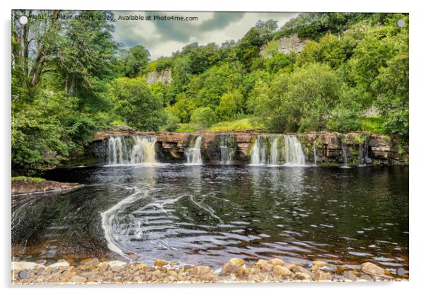 Wain Wath Falls, Swaledale Acrylic by Peter Stuart