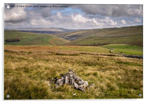 Fountains Fell from Malham Tarn Acrylic by Peter Stuart