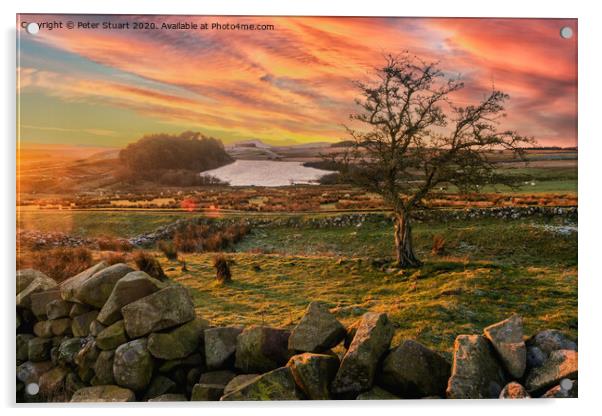 Hadrians Wall from Once Brewed Acrylic by Peter Stuart
